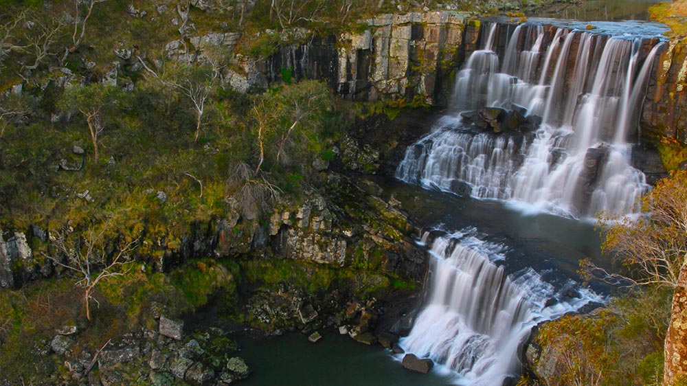 chutes d'eau australie Ebor Falls