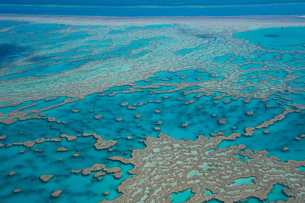 Grande Barrière de Corail Australie