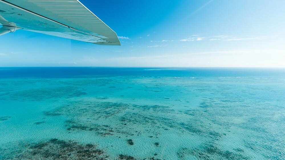 Survol avion grande barrière de corail cairns Australie